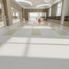 Gym PVC sports plastic floor